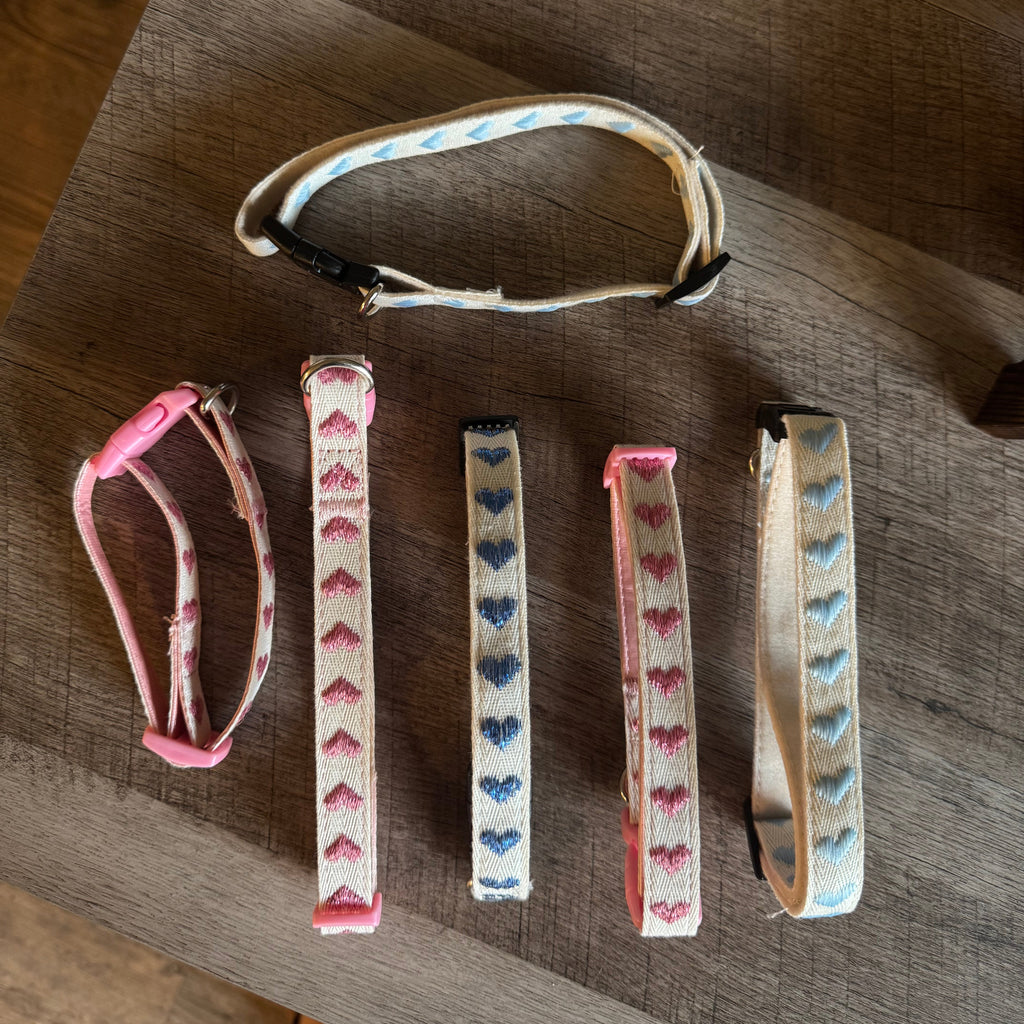 Dog Collars